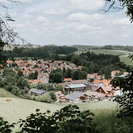 Rosenalm Scheidegg - Ferienwohnungen Mit Pool Und Sauna 沙伊代格